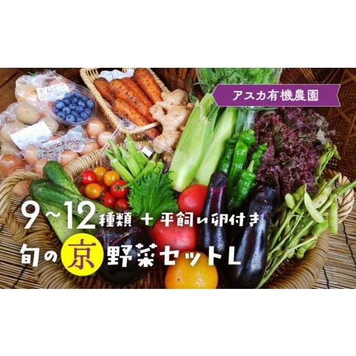 ふるさと納税 セット・詰合せ 京都府 亀岡市 7月発送 [アスカ有機農園]旬の京野菜セットL(平飼い卵付)[野菜 やさい セット 新鮮 詰合せ 旬 野菜 野菜詰…