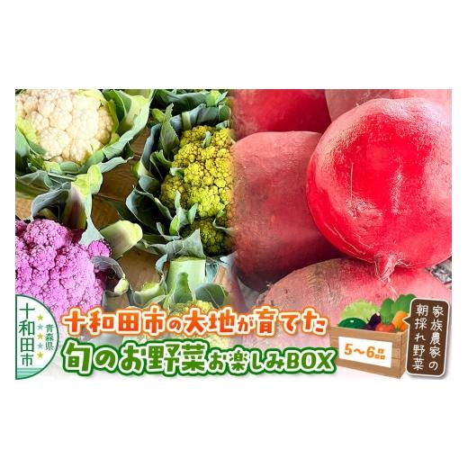 ふるさと納税 セット・詰合せ 青森県 十和田市 十和田の大地が育てた旬のお野菜お楽しみBOX 家族農家の朝採れ野菜 青森産 新鮮 野菜 詰合せ 今が旬
