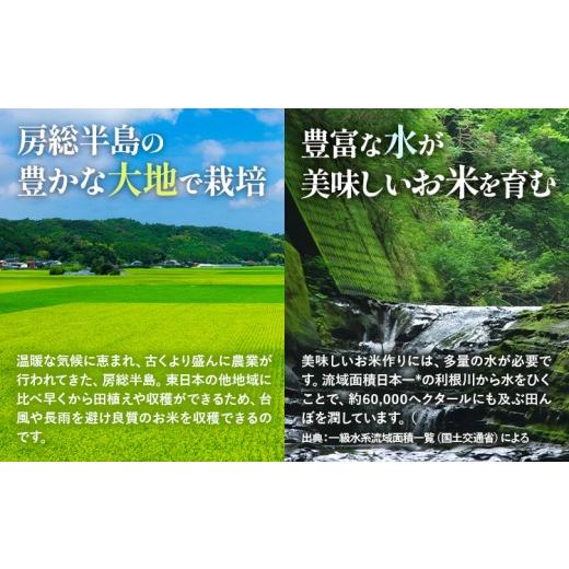 ふるさと納税 米 千葉県 勝浦市 隔月6回定期便 米 千葉ふるさと米 5kg《お申込みの翌月から出荷》ブレンド米 千葉県 勝浦市 米 白米 精米 国産 お米 おこめ …_3