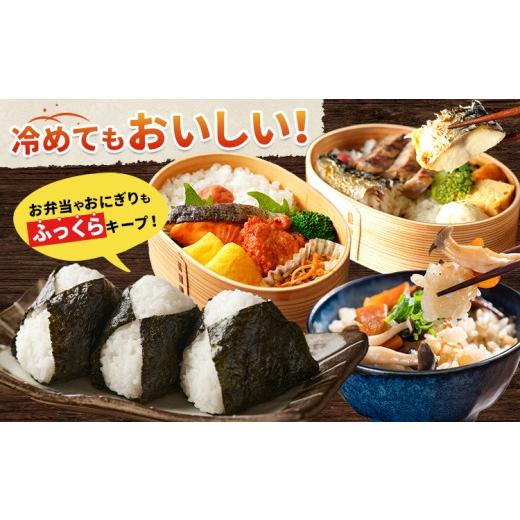 ふるさと納税 米 千葉県 勝浦市 隔月6回定期便 米 千葉ふるさと米 5kg《お申込みの翌月から出荷》ブレンド米 千葉県 勝浦市 米 白米 精米 国産 お米 おこめ …_4
