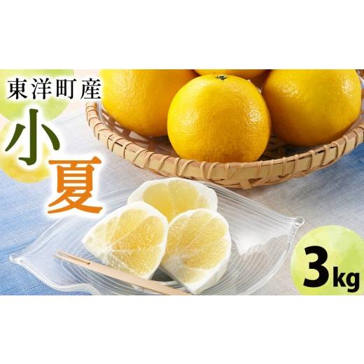 ふるさと納税 みかん・柑橘類 高知県 東洋町 小夏 3kg TA15 3kg