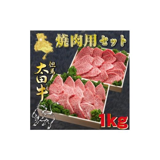 ふるさと納税 牛肉 焼肉・バーベキュー 兵庫県 養父市 但馬 太田牛 焼肉セット 計1kg OYS5 1737500