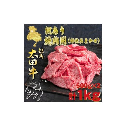 ふるさと納税 牛肉 焼肉・バーベキュー 兵庫県 養父市 但馬 太田牛 訳あり 部位おまかせ焼肉 計1kg OY1-2 1743540