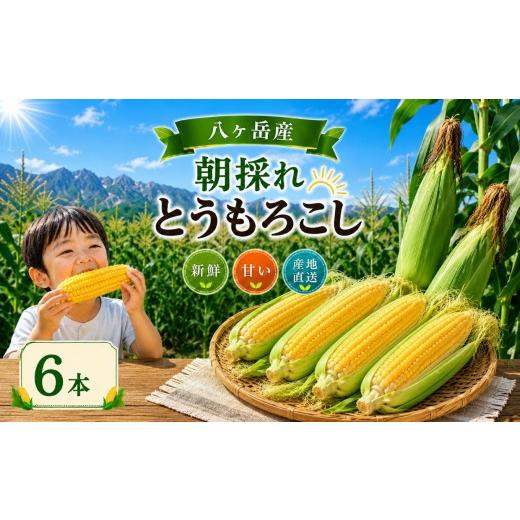 ふるさと納税 とうもろこし 長野県 原村 八ヶ岳産 朝採れ とうもろこし 6本 | 朝採れ トウモロコシ とうもろこし 自然 旨味 甘味 信州 八ヶ岳 長野県 諏訪郡 …