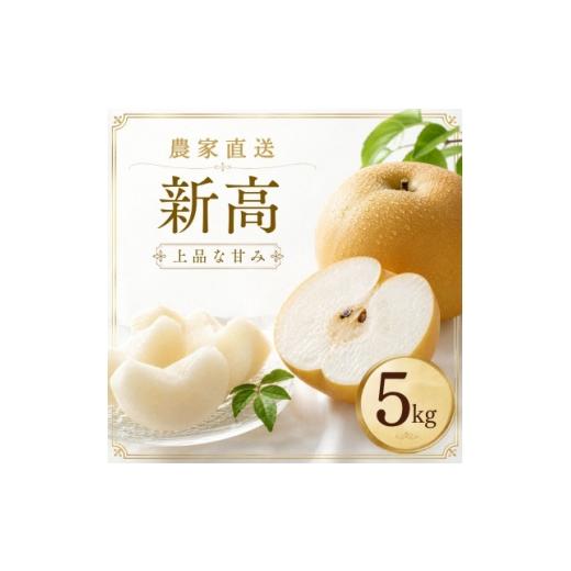 ふるさと納税 梨 茨城県 かすみがうら市 新高 梨 5kg 8〜12玉 予約受付 梨 なし 甘い かすみがうら市 1743817