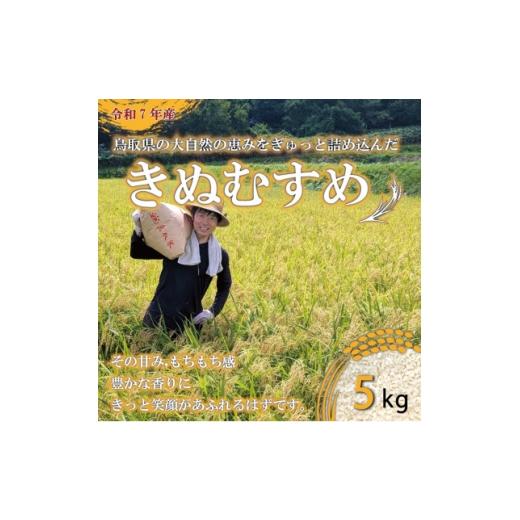 ふるさと納税 米 鳥取県 伯耆町 5年連続特Aランク獲得 令和7年産 原田農園きぬむすめ精米 5kg 1723123