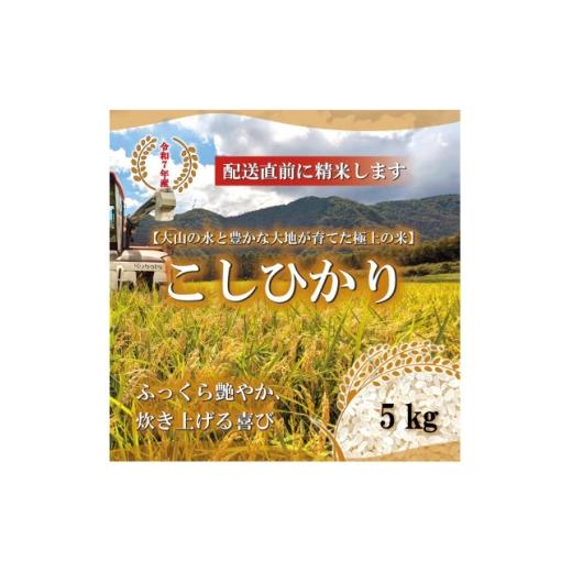 ふるさと納税 米 鳥取県 伯耆町 令和7年 鳥取県産 山崎農園こしひかり5kg 1725211