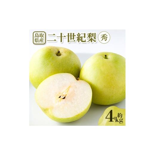 ふるさと納税 梨 鳥取県 伯耆町  先行予約 二十世紀梨　秀 約4kg 1733684_1