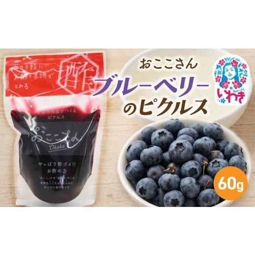 ふるさと納税 加工品等 漬物 福島県 いわき市 おここさん ブルーベリーのピクルス 60g×1袋 | おここさん ブルーベリーのピクルス ブルーベリー ピクルス 福島…