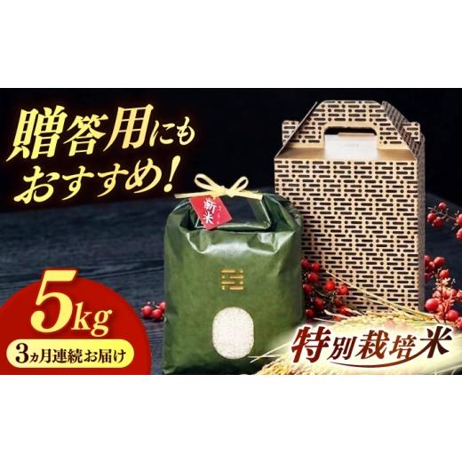 ふるさと納税 米 福岡県 築上町 黒箱 全3回定期便 とくべつの中のとくべつ 特別栽培米 夢つくし 5kg 築上町 / itoshimacco / 株式会社やました ABEX006-2 …
