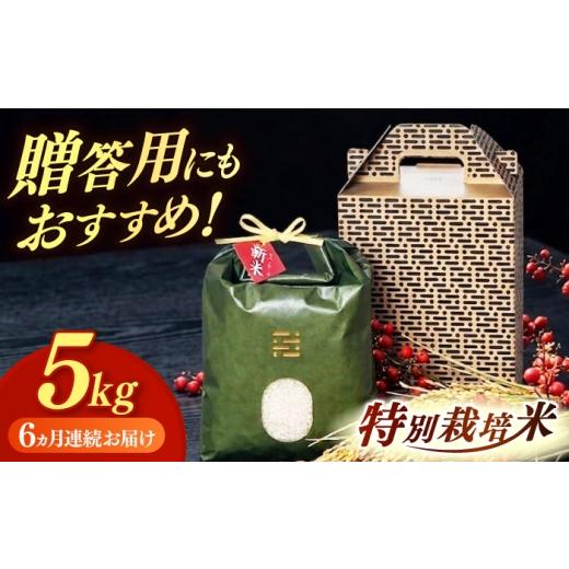 ふるさと納税 米 福岡県 築上町 黒箱 全6回定期便 とくべつ の中の とくべつ 特別栽培米 夢つくし 5kg 築上町 / itoshimacco / 株式会社やました ABEX007-2…