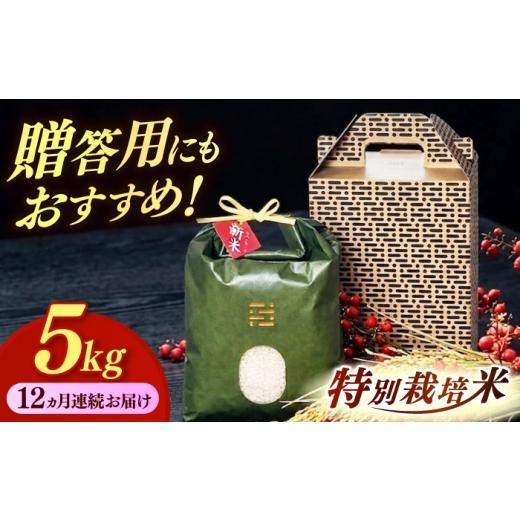 ふるさと納税 米 福岡県 築上町 茶(オリジナル手提げ箱) 全12回定期便 とくべつの中のとくべつ 特別栽培米 夢つくし 5kg 築上町 / itoshimacco / 株式会…