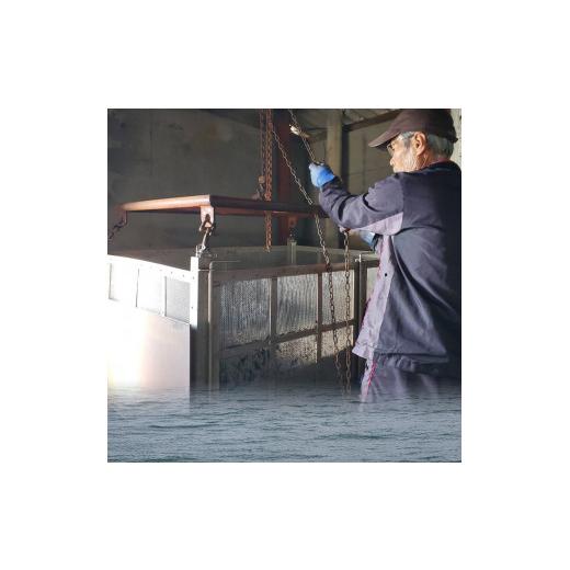 ふるさと納税 乾物 海藻 愛媛県 松山市  秀品 寒ひじき 100g ×2袋 | 国産ひじき 天然 ひじき 乾燥ひじき 海産物 海藻 寒ひじき 煮物 貴重 ひじき 無添加 無着…_2