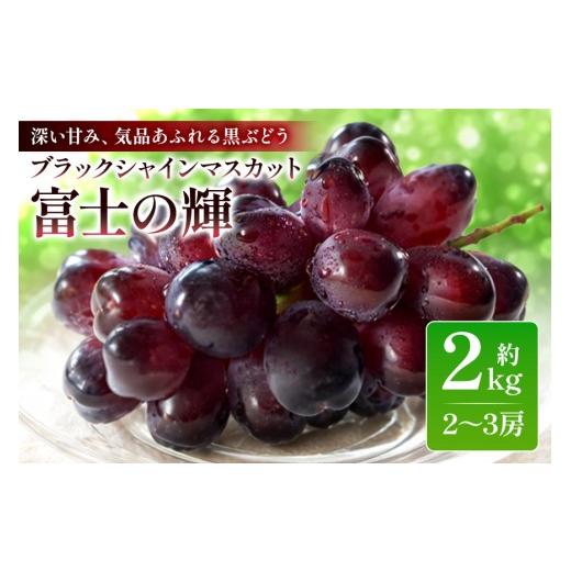 ふるさと納税 ぶどう マスカット 茨城県 小美玉市 数量限定・期間限定 ブラックシャインマスカット「富士の輝」約2kg(2房〜3房) マスカット ブドウ ぶどう …