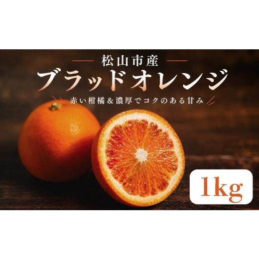 ふるさと納税 みかん・柑橘類 愛媛県 松山市 2027年3月中旬頃から順次発送 ブラッドオレンジ 1kg |愛媛 タロッコ 果物 ビタミン 健康 フルーツ 柑橘 農家直…