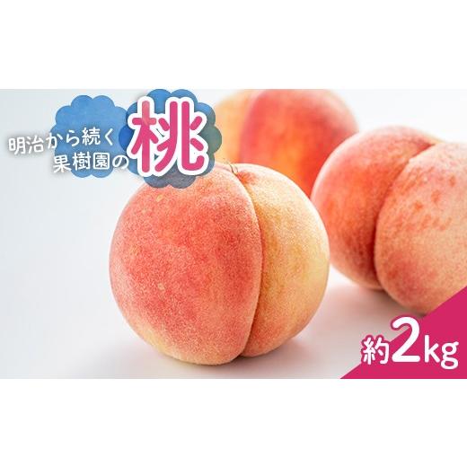 ふるさと納税 もも 福島県 白河市 2026年出荷分先行予約 明治から続く果樹園の桃 品種おまかせ約2kg もも モモ 桃 果物 くだもの フルーツ 福島県 白河市 F2…