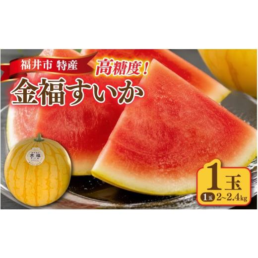 ふるさと納税 スイカ 福井県 福井市 種が無く高糖度 三里浜砂丘地産 福井市特産金福すいか 1玉 A-180004 / スイカ 小玉 フルーツ 果肉 スイーツ 旬 福井 ふく…