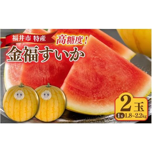 ふるさと納税 スイカ 福井県 福井市 種が無く高糖度 三里浜砂丘地産 福井市特産金福すいか 2玉 B-180005 / スイカ 小玉 フルーツ 果肉 スイーツ 旬 福井 ふく…