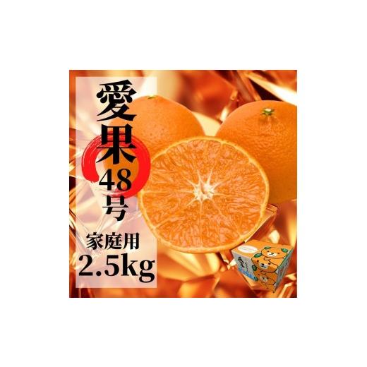 ふるさと納税 みかん・柑橘類 愛媛県 松山市 2027年2月下旬頃から順次発送 愛果48号 家庭用 約2.5kg | 愛媛 愛媛県産みかん 蜜柑 ミカン mikan みかん あい…