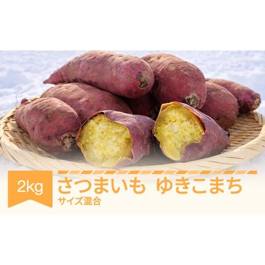 ふるさと納税 野菜類 サツマイモ 山形県 村山市 先行予約 さつまいも ゆきこまち 約2kg 村山市産 2026年産 令和8年産 山形県産 芋 no-spykx2