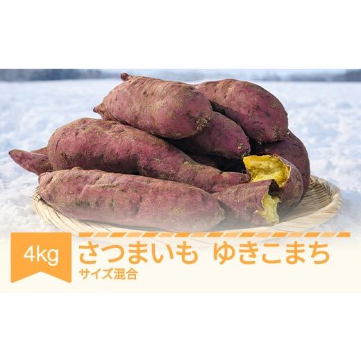 ふるさと納税 野菜類 サツマイモ 山形県 村山市 先行予約 さつまいも ゆきこまち 約4kg 村山市産 2026年産 令和8年産 山形県産 芋 no-spykx4