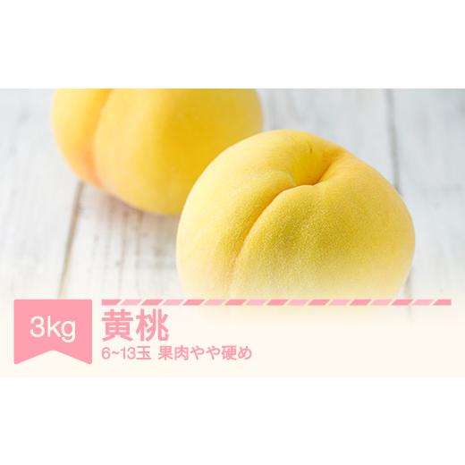 ふるさと納税 もも 山形県 村山市 令和8年産 黄桃 約3kg (6〜13玉) 柔らかくなる品種・果肉やや硬め sp-mootx3000 黄桃約3kg(6〜13玉) 柔らかくなる品種・果肉…