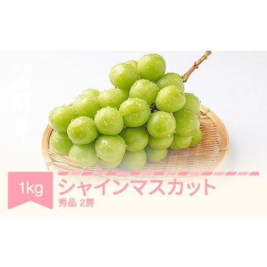 ふるさと納税 ぶどう マスカット 山形県 村山市 令和8年産 ぶどう シャインマスカット 秀品 約1kg (2房) 9月中旬〜10月中旬お届け sp-busmx1000 ぶどうシャイ…