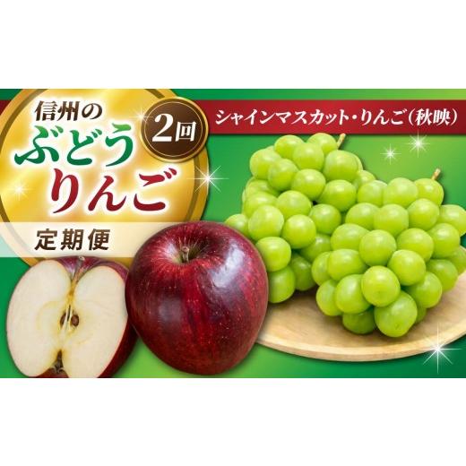 ふるさと納税 ぶどう マスカット 長野県 東御市 2回定期便 信州のぶどう・りんご(シャインマスカット・秋映)|JA信州うえだ農業協同組合 長野県 東御市産