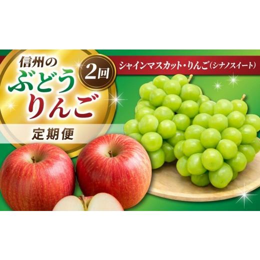 ふるさと納税 ぶどう マスカット 長野県 東御市 2回定期便 信州のぶどう・りんご(シャインマスカット・シナノスイート)|JA信州うえだ農業協同組合 長野県 …