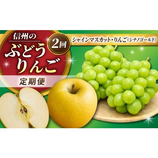 ふるさと納税 ぶどう マスカット 長野県 東御市 2回定期便 信州のぶどう・りんご(シャインマスカット・シナノゴールド)|JA信州うえだ農業協同組合 長野県 …