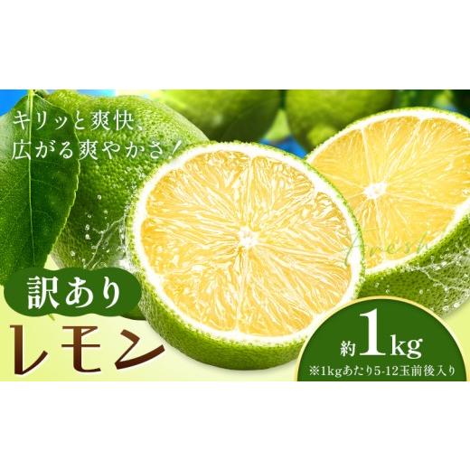 ふるさと納税 みかん・柑橘類 レモン 和歌山県 紀の川市 レモン 訳あり 緑色 檸檬 1kg (1kgあたり5-12玉前後) 株式会社農業福祉研究機構[10月上旬-11月上旬頃…