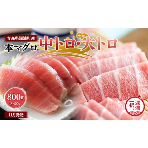 ふるさと納税 マグロ 青森県 深浦町 青森県深浦町産 天然本マグロ 中トロ 大トロ 800g 各400g 食べ比べ 冷凍柵 深浦マグロ 刺身 海鮮 鮪 まぐろ fu-0015-025_1…