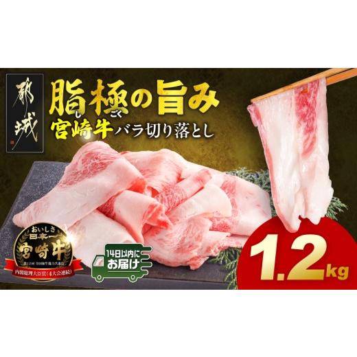 ふるさと納税 牛肉 バラ(カルビ) 宮崎県 都城市 宮崎牛バラ切り落とし1.2kg みやこんじょ快急便 _12-N2-019-1200g-R_(都城市) 宮崎牛 牛肉 宮崎県産 国産 黒毛…