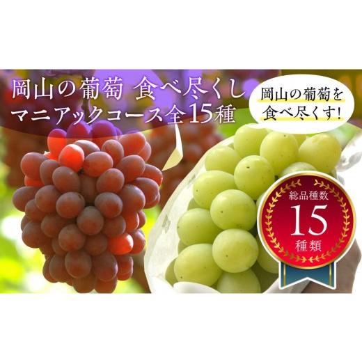 ふるさと納税 ぶどう マスカット 岡山県 岡山市 岡山のぶどう食べ尽くし マニアックコース全15種(15回お届け)