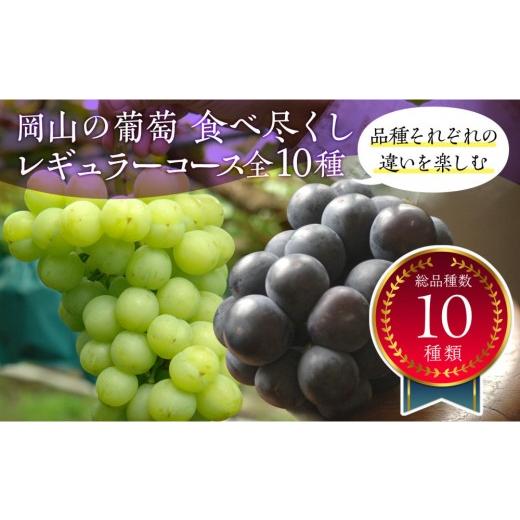 ふるさと納税 ぶどう マスカット 岡山県 岡山市 岡山のぶどう食べ尽くし レギュラーコース全10種(10回お届け)