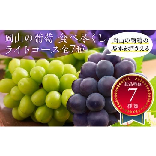 ふるさと納税 ぶどう マスカット 岡山県 岡山市 岡山のぶどう食べ尽くし ライトコース全7種(7回お届け)