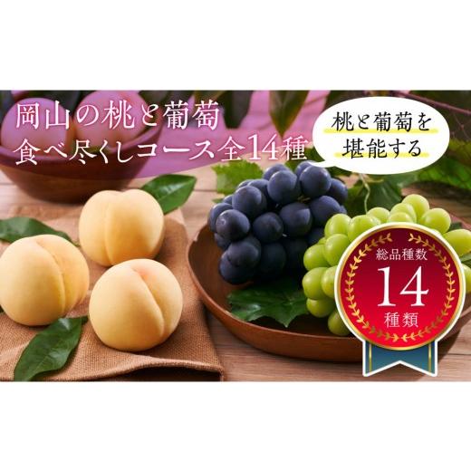 ふるさと納税 もも 岡山県 岡山市 岡山の桃とぶどう 食べ尽くしコース全14種(14回お届け)
