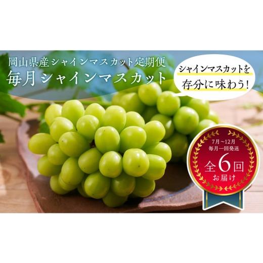 ふるさと納税 ぶどう マスカット 岡山県 岡山市 岡山県産 シャインマスカット 定期便 |毎月シャインマスカット(全6回お届け)