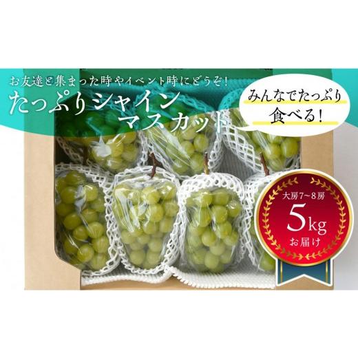 ふるさと納税 ぶどう マスカット 岡山県 岡山市 岡山県産 たっぷりシャインマスカット5Kg 大房7〜8房