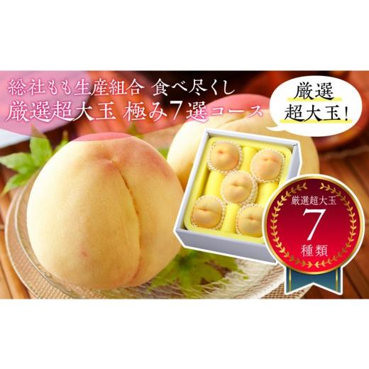 ふるさと納税 もも 岡山県 岡山市 全7回お届け 総社もも生産組合 食べ尽くし 厳選超大玉 極み7選コース 7月下旬以降発送