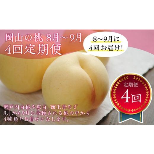 ふるさと納税 もも 岡山県 岡山市 全4回お届け 岡山の桃 8月-9月 8月以降発送