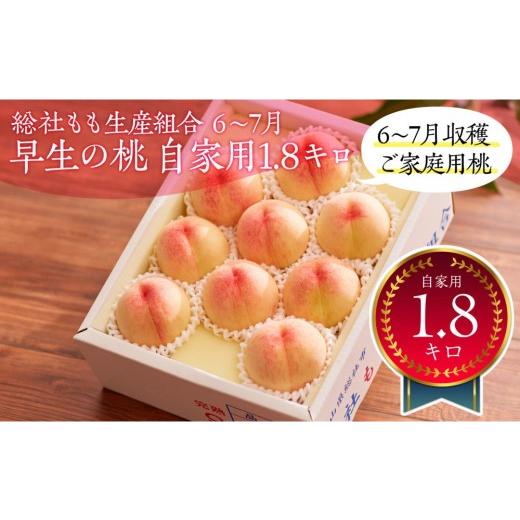 ふるさと納税 もも 岡山県 岡山市 総社もも生産組合 6月-7月早生の桃 自家用1.8kg 6月下以降発送