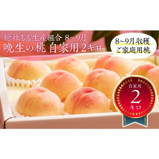 ふるさと納税 もも 岡山県 岡山市 総社もも生産組合 8月-9月晩生の桃 自家用2kg 8月以降発送