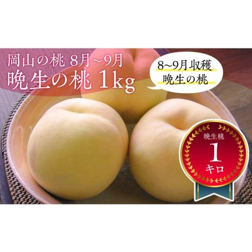 ふるさと納税 もも 岡山県 岡山市 岡山の桃 8月 - 9月 晩生の桃 1kg 8月以降発送