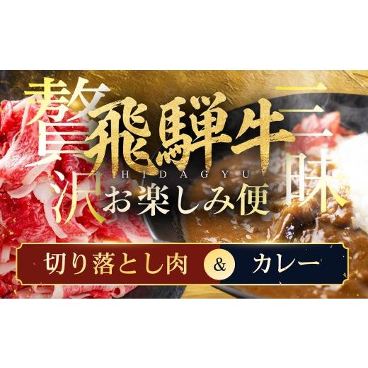 ふるさと納税 加工品等 レトルト 岐阜県 高山市 飛騨牛お楽しみ便 飛騨牛 カレー (5袋) 切り落とし肉 お届け便 | 常温 冷凍 配送 訳あり 訳アリ 飛騨牛 肉 牛…