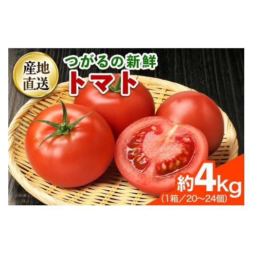ふるさと納税 野菜類 トマト 青森県 つがる市 つがるの新鮮トマト 約4kg(20個から24個)|トマト とまと 新鮮 野菜 やさい リコピン サラダ おかず 弁当 ジュー…