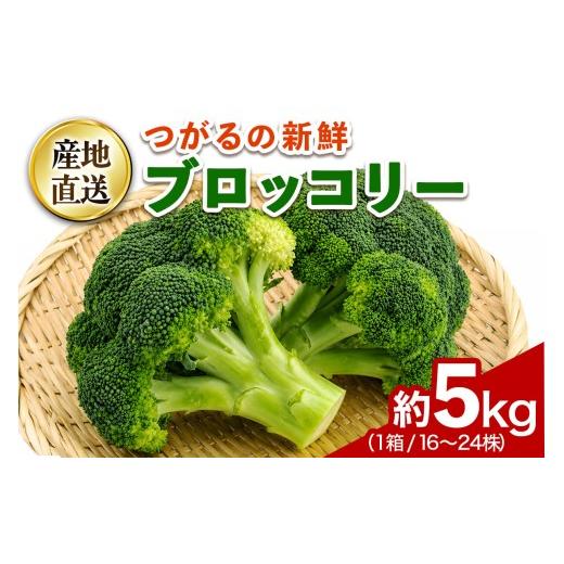 ふるさと納税 野菜類 トマト 青森県 つがる市 つがるの新鮮ブロッコリー 約5kg(16株から24株)|ブロッコリー ぶろっこりー 新鮮 野菜 やさい サラダ おかず 弁…