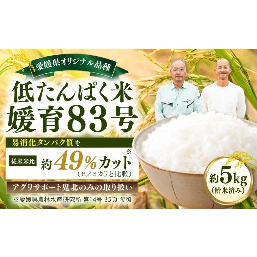 ふるさと納税 米 愛媛県 鬼北町 先行予約 令和8年度産新米 低たんぱく米 媛育83号 約5kg (精米済み)|令和8年産 R8年産 お米 ご飯 白米 精米 健康 高齢 糖…