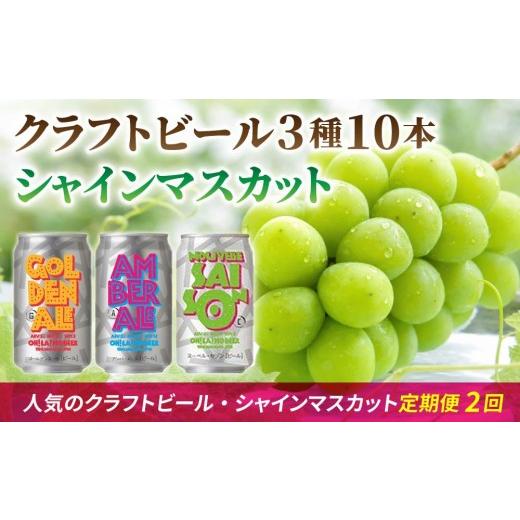 ふるさと納税 ぶどう マスカット 長野県 東御市 2回定期便 シャインマスカットと地ビールの人気セット(シャインマスカット2房1.1kg以上とクラフトビール飲み…