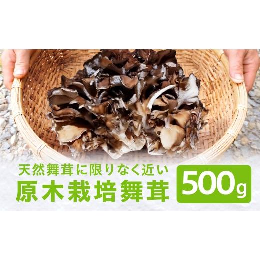 ふるさと納税 野菜類 きのこ 岐阜県 高山市 9〜10月発送 原木栽培舞茸500g | 舞茸 まいたけ 国産 野菜 やさい きのこ 菌床栽培 原木栽培 天ぷら 炊き込みご飯…